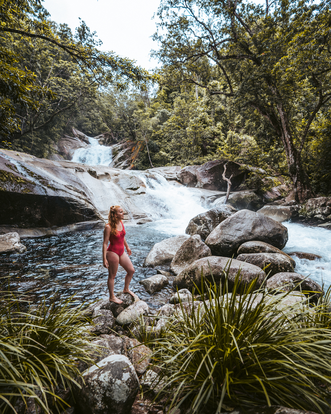 What's the Best Way to Discover Australia? The Wild Kiwi Way!