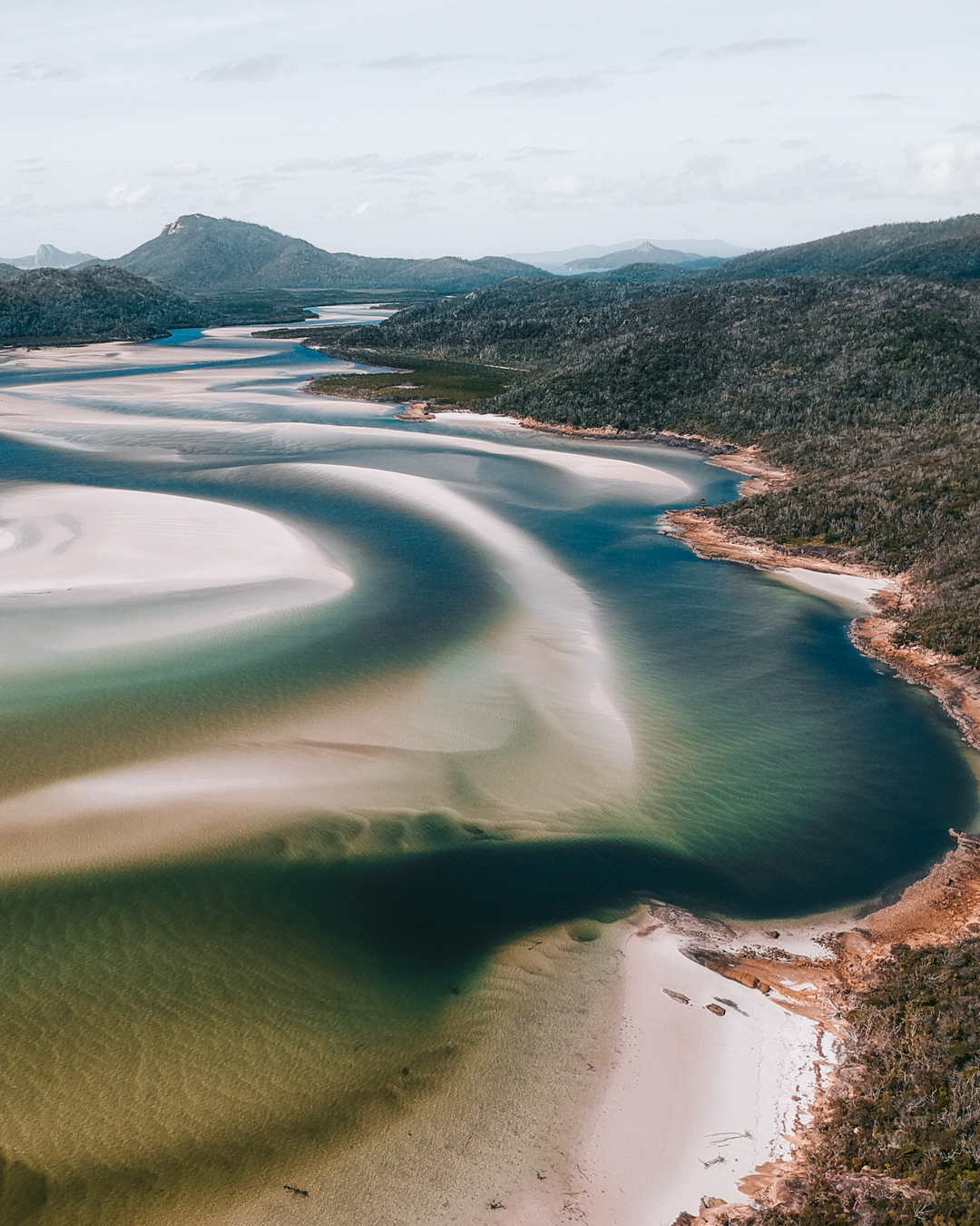 What's the Best Way to Discover Australia? The Wild Kiwi Way!